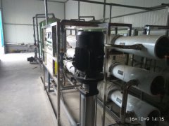 大王化工廠純凈水設備案例